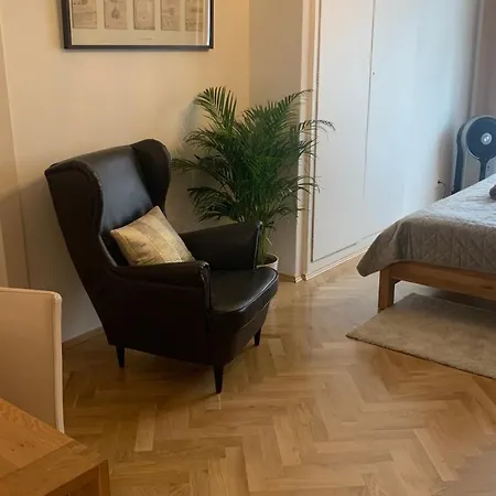 Anenska By Charles Bridge 3 Apartment Prag